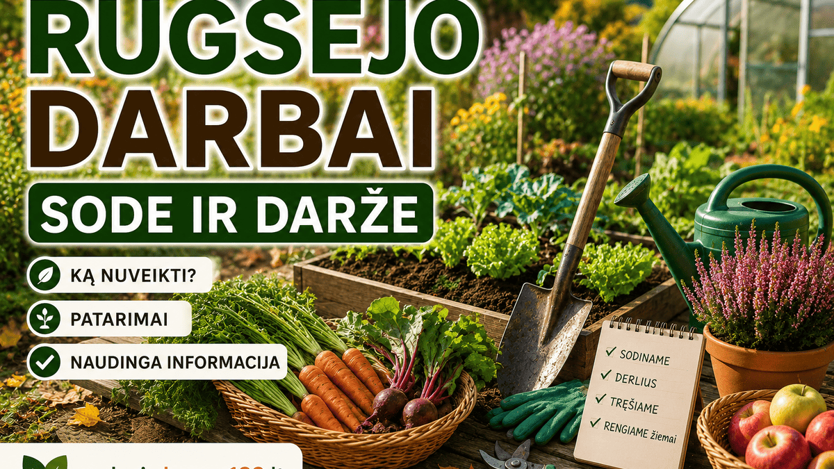 Rugsėjo darbai sode ir darže