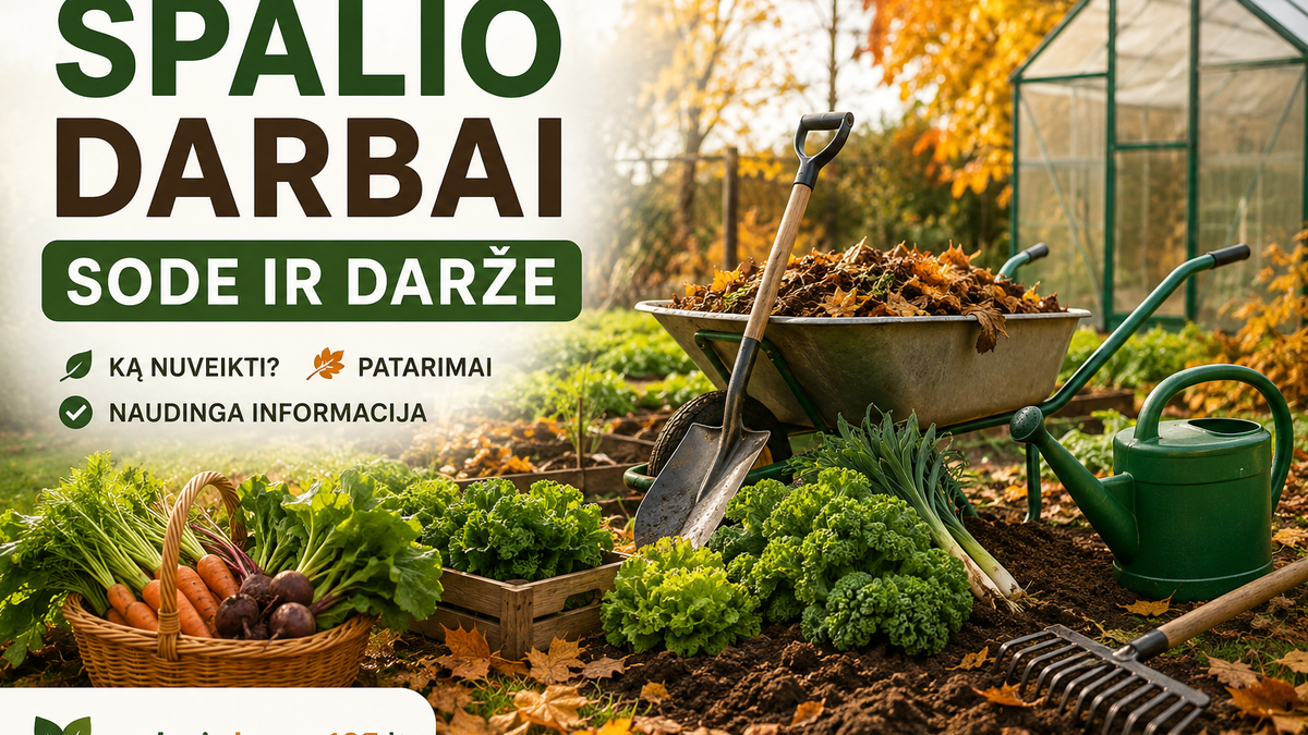 Spalio darbai sode ir darže
